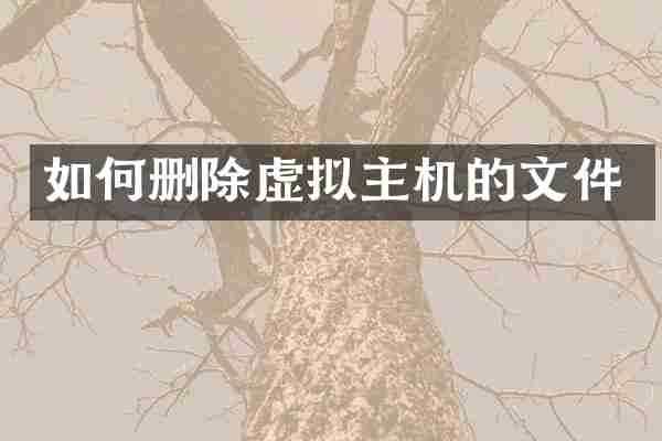 如何删除虚拟主机的文件