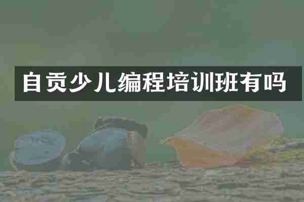 自贡少儿编程培训班有吗