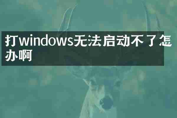 打windows无法启动不了怎么办啊