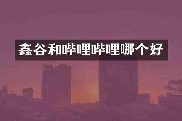 鑫谷和哔哩哔哩哪个好