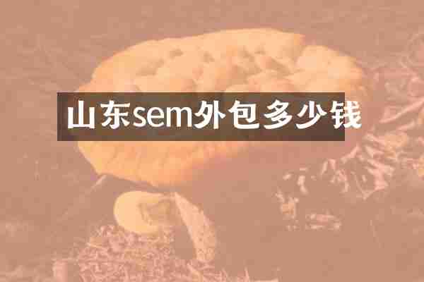 山东sem外包多少钱