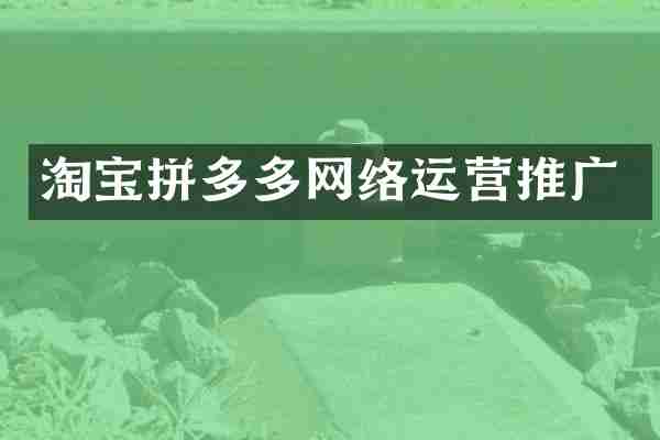 淘宝拼多多网络运营推广