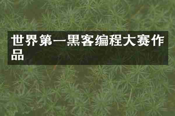 世界第一黑客编程大赛作品