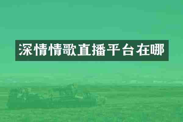 深情情歌直播平台在哪