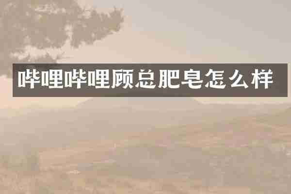 哔哩哔哩顾总肥皂怎么样