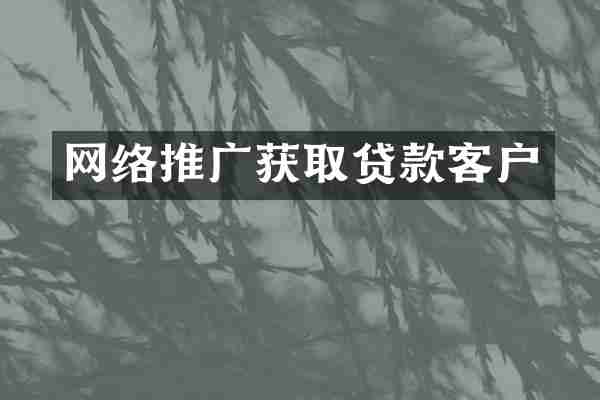 网络推广获取贷款客户
