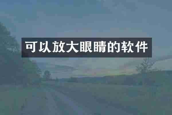 可以放大眼睛的软件