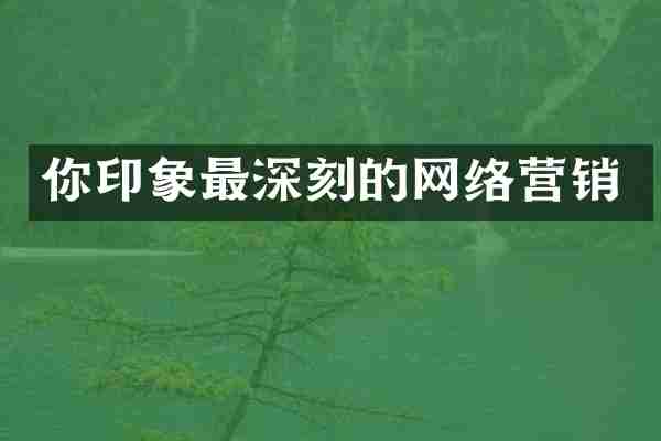 你印象最深刻的网络营销