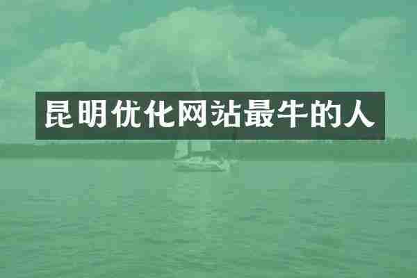 昆明优化网站最牛的人
