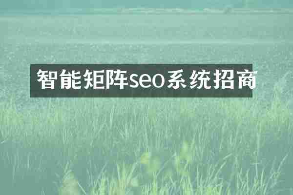智能矩阵seo系统招商