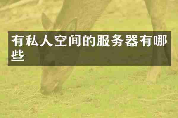 有私人空间的服务器有哪些