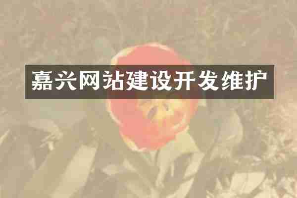 嘉兴网站建设开发维护