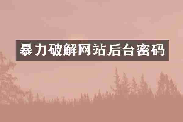 暴力破解网站后台密码
