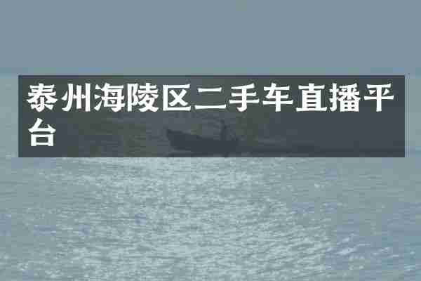 泰州海陵区二手车直播平台