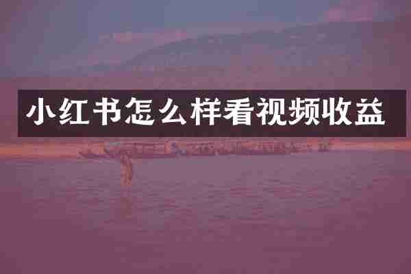 小红书怎么样看视频收益