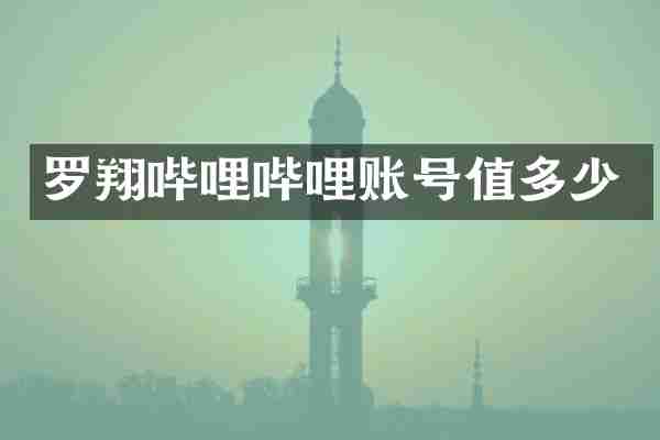 罗翔哔哩哔哩账号值多少