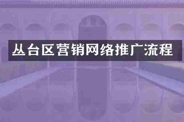 丛台区营销网络推广流程