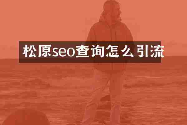 松原seo查询怎么引流