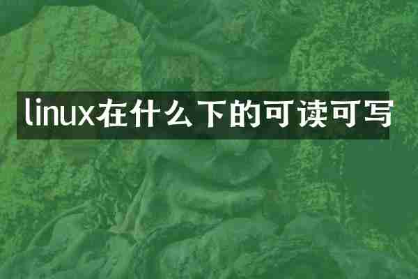 linux在什么下的可读可写