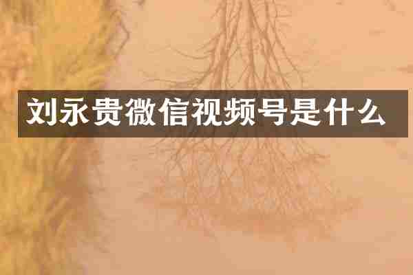 刘永贵微信视频号是什么
