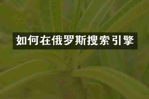 如何在俄罗斯搜索引擎