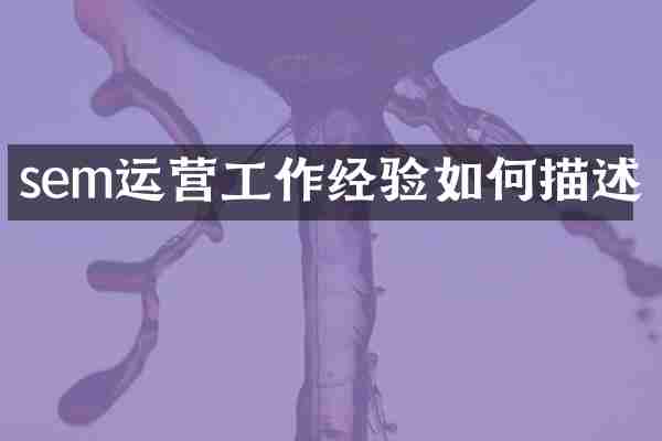 sem运营工作经验如何描述