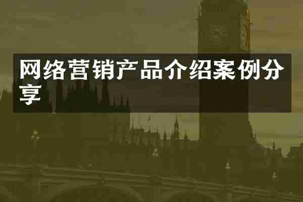 网络营销产品介绍案例分享