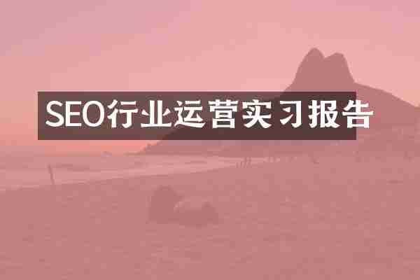 SEO行业运营实习报告