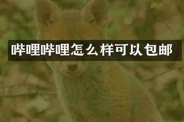 哔哩哔哩怎么样可以包邮