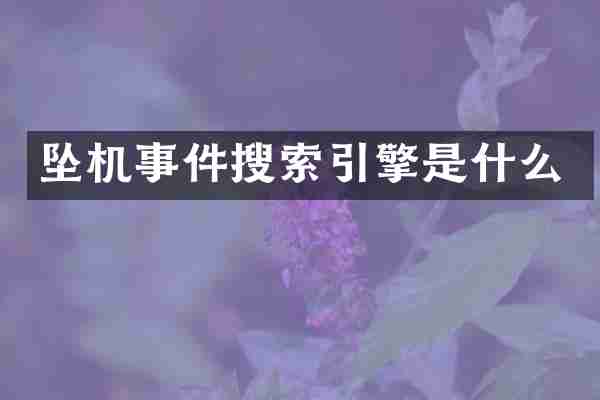 坠机事件搜索引擎是什么