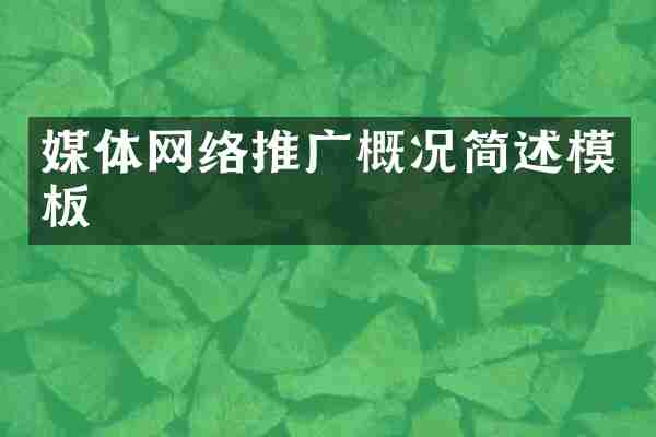 媒体网络推广概况简述模板