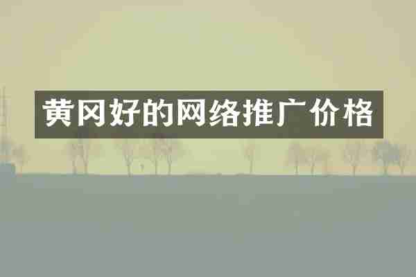 黄冈好的网络推广价格