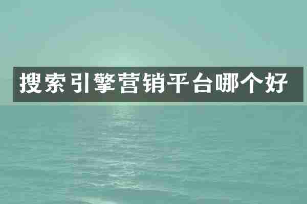 搜索引擎营销平台哪个好