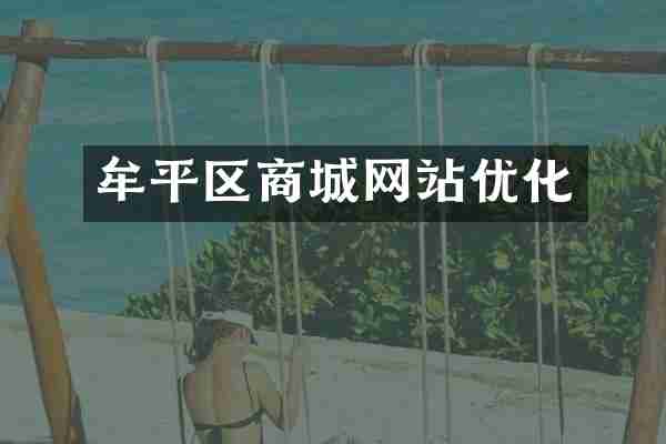 牟平区商城网站优化