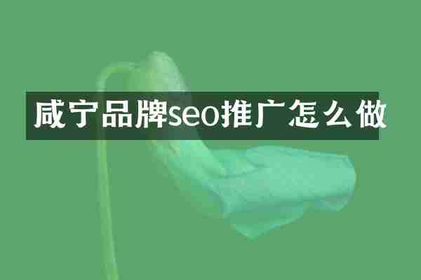 咸宁品牌seo推广怎么做