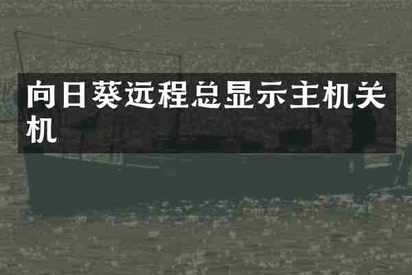 向日葵远程总显示主机关机