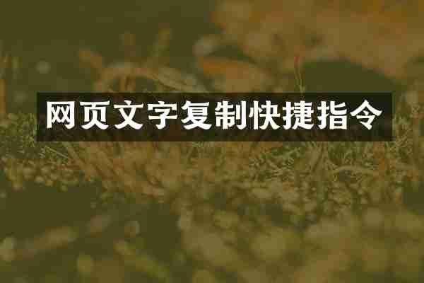 网页文字复制快捷指令