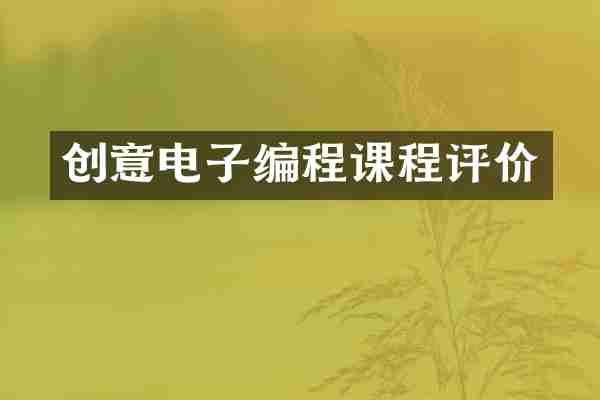 创意电子编程课程评价