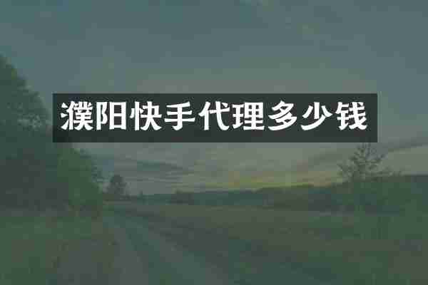 濮阳快手代理多少钱