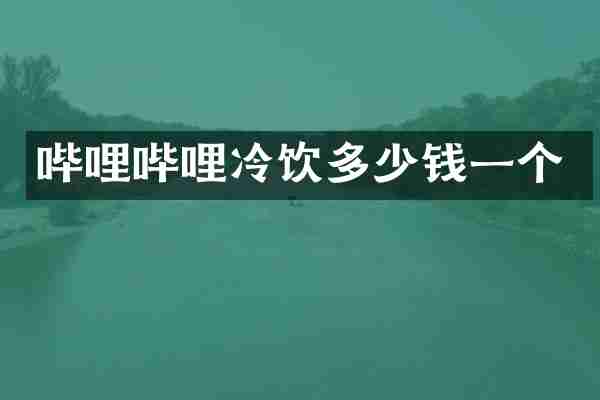 哔哩哔哩冷饮多少钱一个