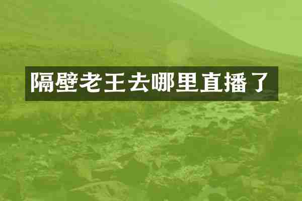 隔壁老王去哪里直播了