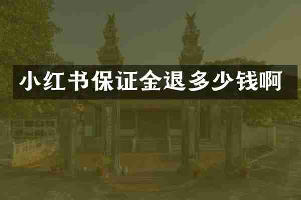 小红书保证金退多少钱啊