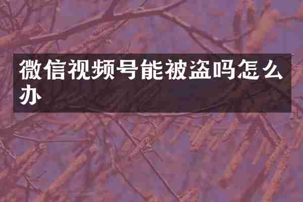微信视频号能被盗吗怎么办