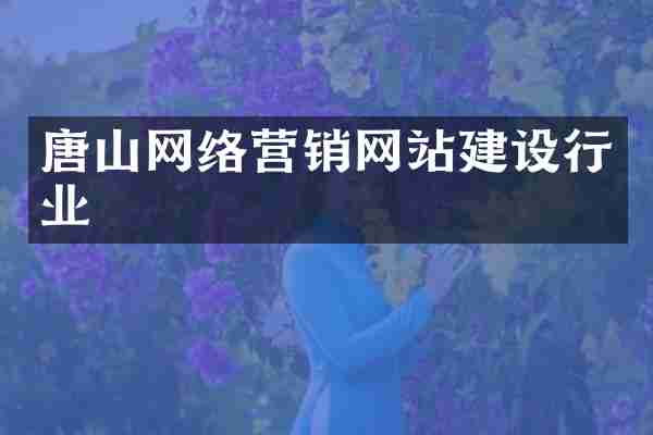 唐山网络营销网站建设行业