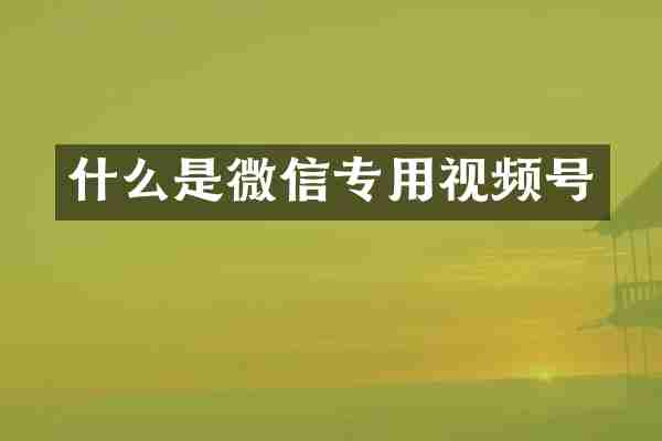 什么是微信专用视频号