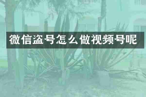 微信盗号怎么做视频号呢