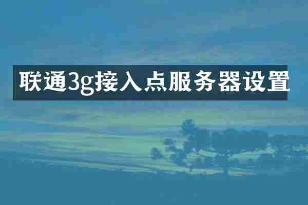 联通3g接入点服务器设置