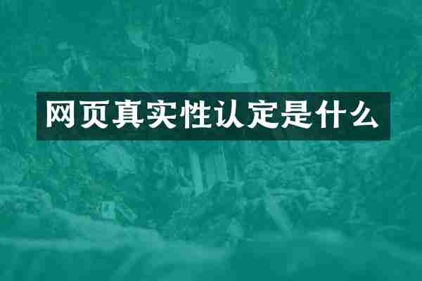 网页真实性认定是什么