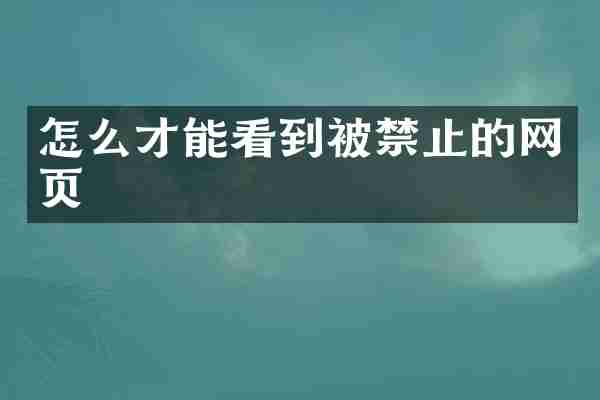 怎么才能看到被禁止的网页