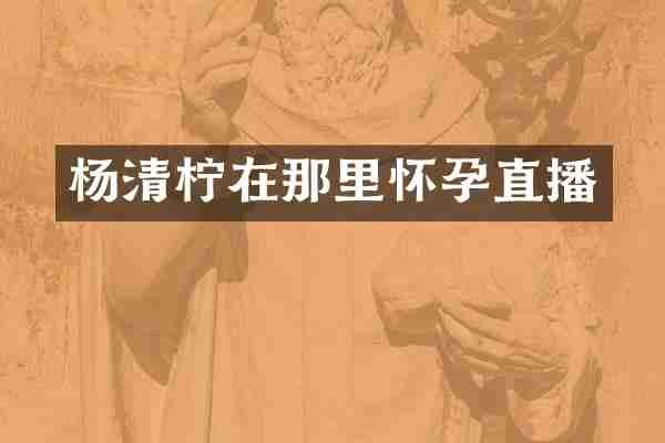 杨清柠在那里怀孕直播